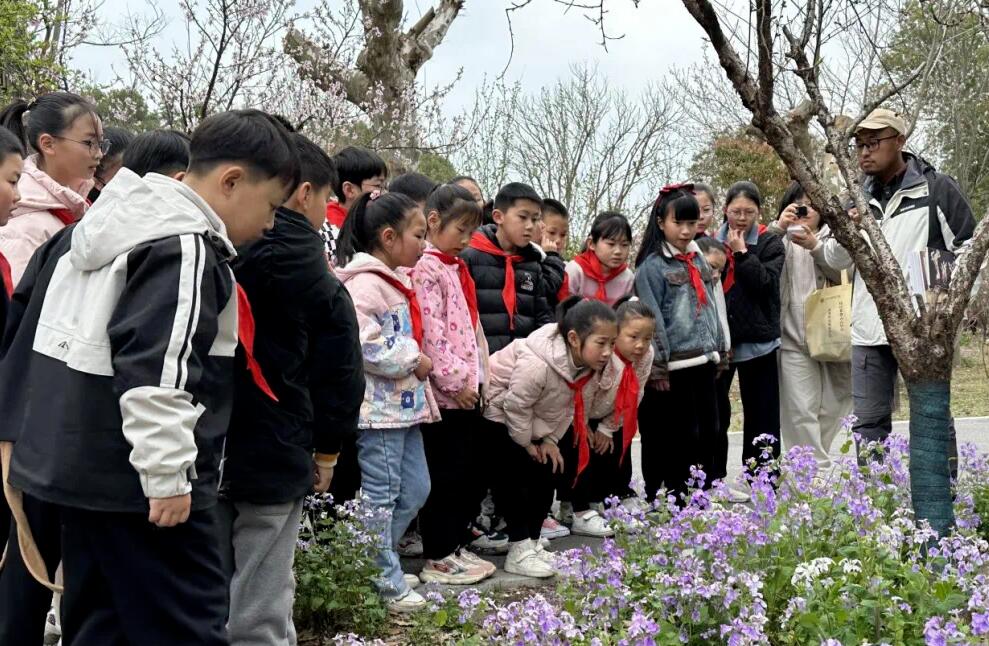 QQ截圖20240429090454.jpg